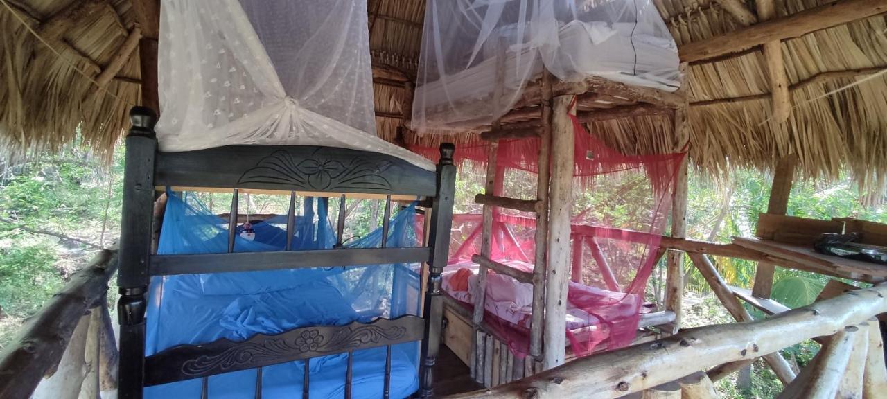 Palapa Hostel Transito Luaran gambar