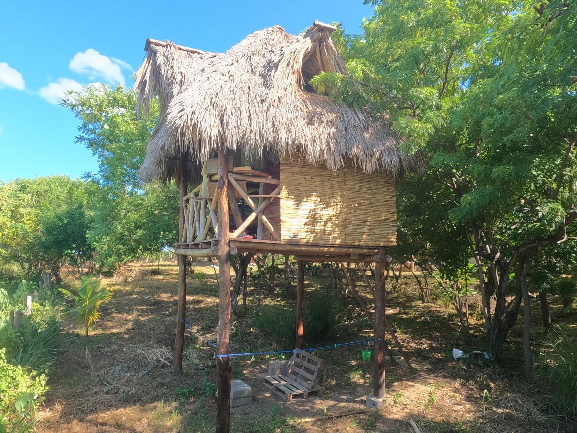 Palapa Hostel Transito Luaran gambar